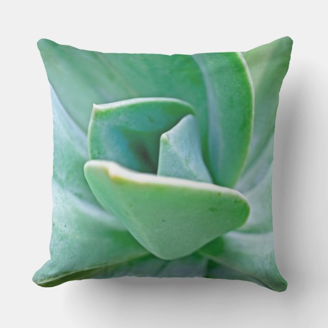 Succulent Swirl Outdoor Pillow (Front)