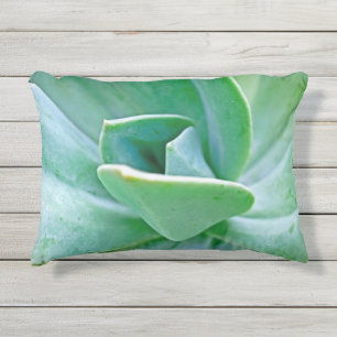 Succulent Swirl Outdoor Pillow