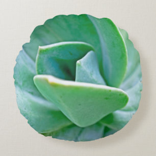 Succulent Swirl Round Pillow