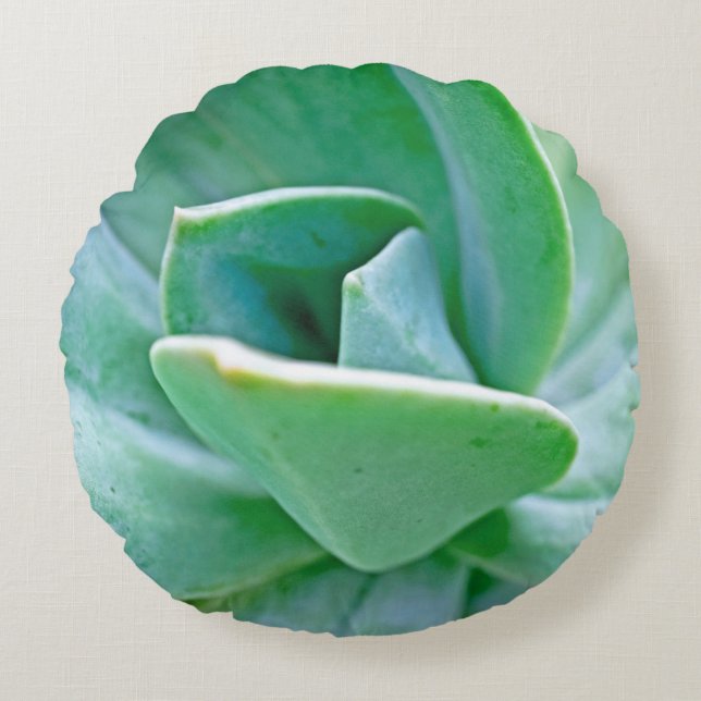 Succulent Swirl Round Pillow (Front)