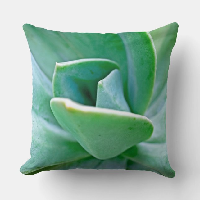 Succulent Swirl Throw Pillow (Front)
