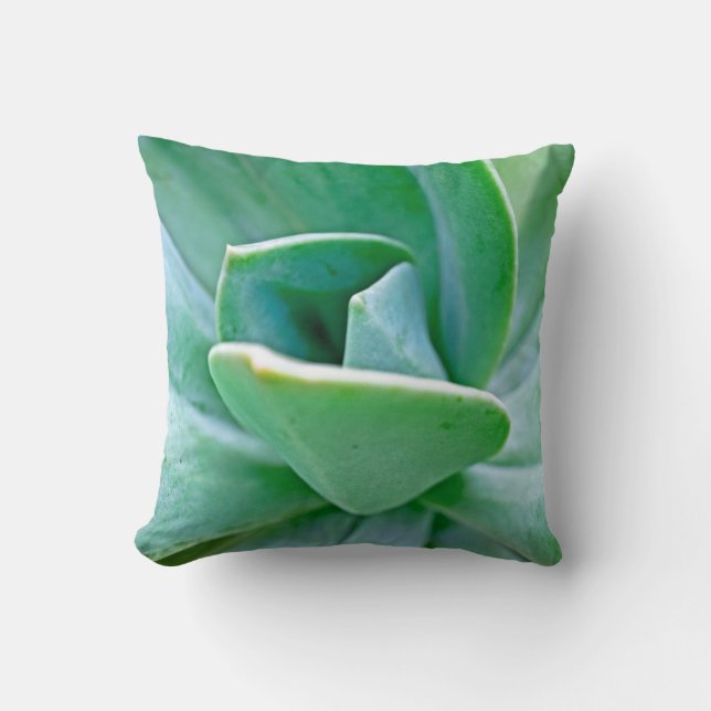 Succulent Swirl Throw Pillow (Front)