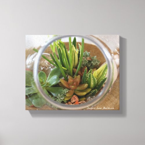 Succulent Terrarium Poster by Debra Lee Baldwin Canvas Print