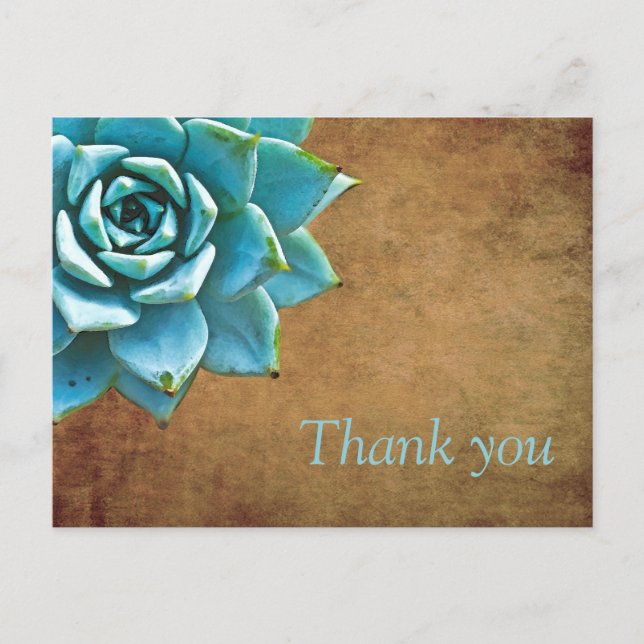 Succulent Thank You Watercolor Rustic Brown Postcard (Front)