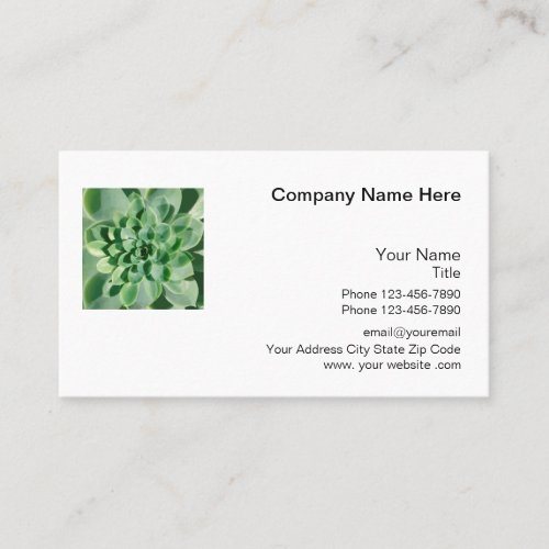 Succulent Theme Nature Business Card