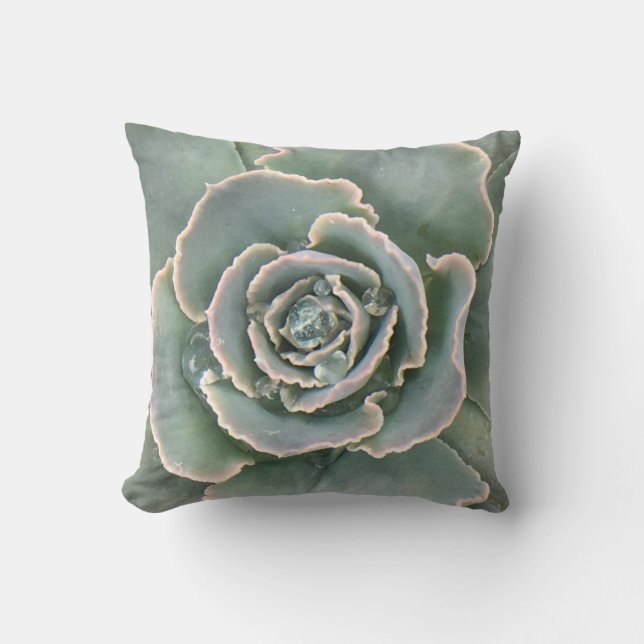 Succulent Throw Pillow (Front)