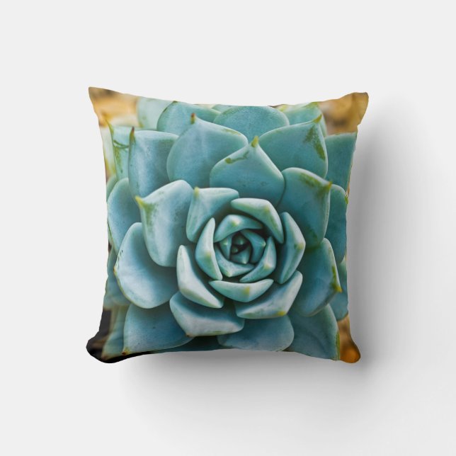 Succulent Throw Pillow (Front)