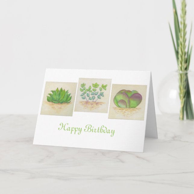 Succulent Trio birthday card (Front)