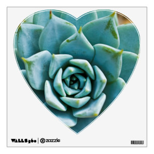 Succulent Wall Sticker