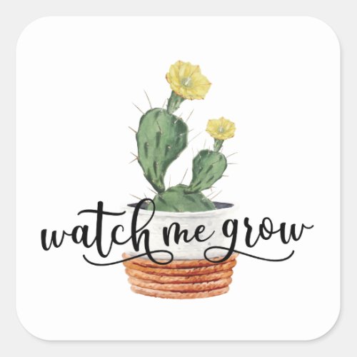 Succulent Watch Me Grow Sticker