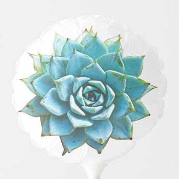 Succulent Watercolor Balloon by Mistflower at Zazzle