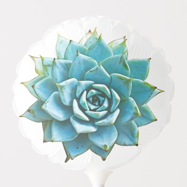 Succulent Watercolor Balloon (Front)