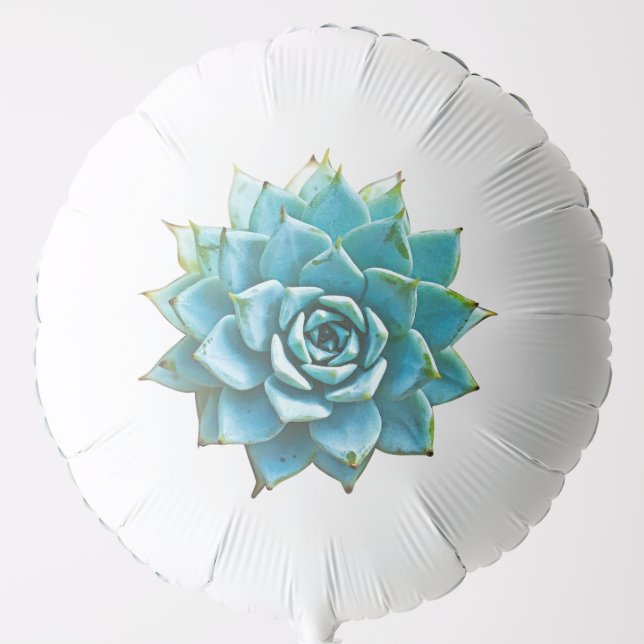 Succulent Watercolor Balloon (Front)