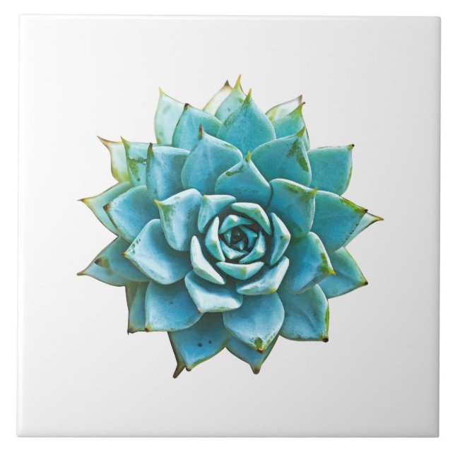 Succulent Watercolor Ceramic Tile (Front)