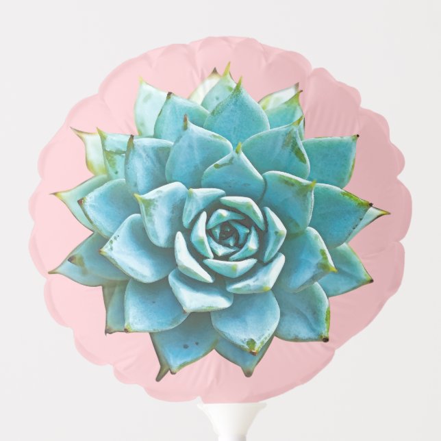Succulent Watercolor on Baby Pink Balloon (Front)