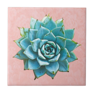 Succulent Watercolor on Blush Pink Lace Ceramic Tile
