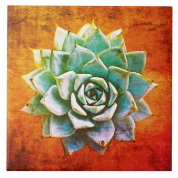 Succulent Watercolor On Orange Rust Ceramic Tile by Mistflower at Zazzle