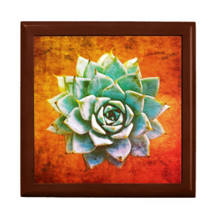 Succulent Watercolor on Orange Rust Gift Box