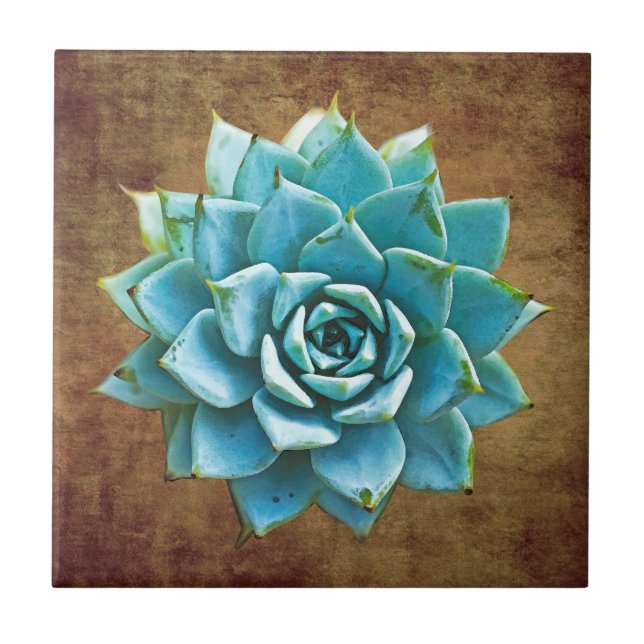 Succulent Watercolor on Rustic Brown Ceramic Tile (Front)