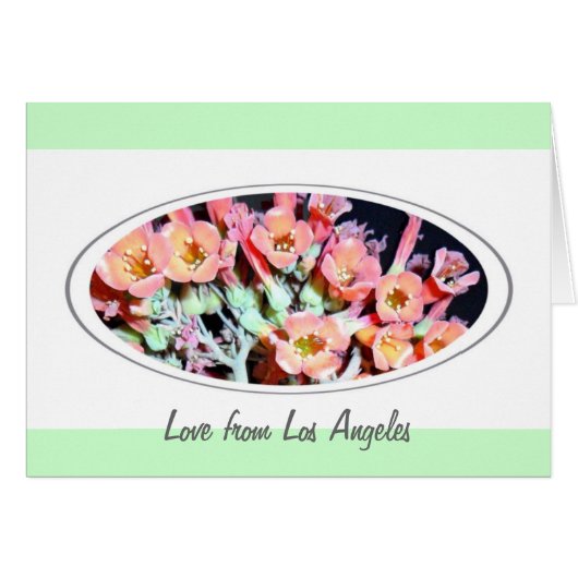 Succulent "Weed" Cards (Front Horizontal)