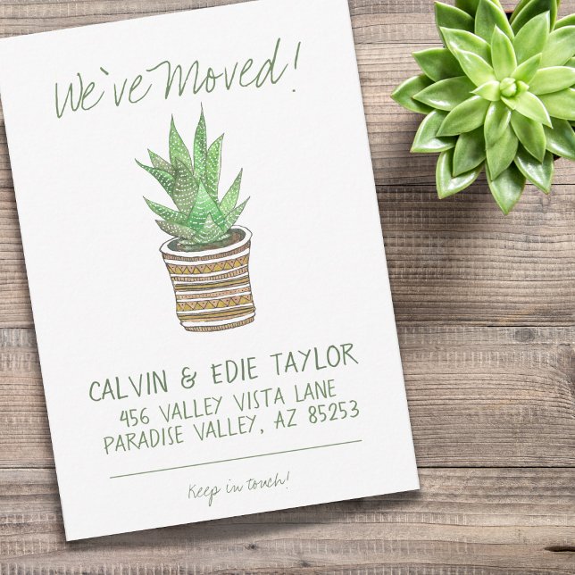 Succulent Zebra Plant Southwestern Pot New Address Announcement (Creator Uploaded)