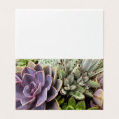 Succulents (Outside Unfolded)