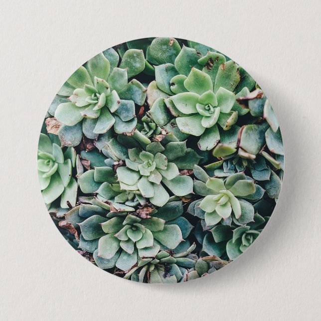 Succulents 2 button (Front)