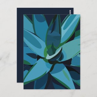 Succulents Blue Agave Cactus Succulents
