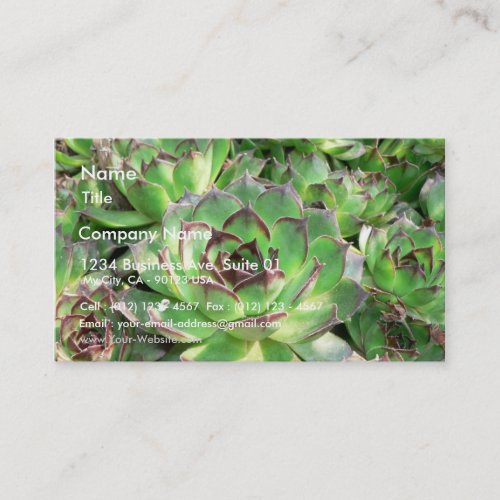 Succulents Business Cards