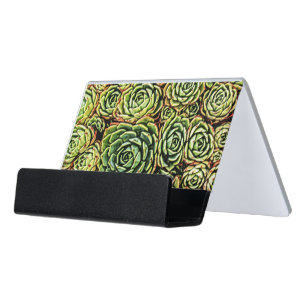 Succulents Business Card Holder