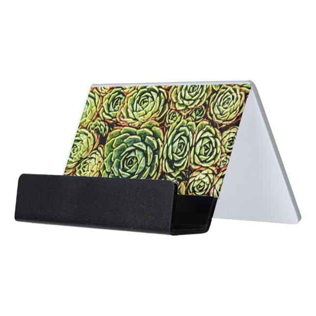Succulents Business Card Holder (Angled Front)