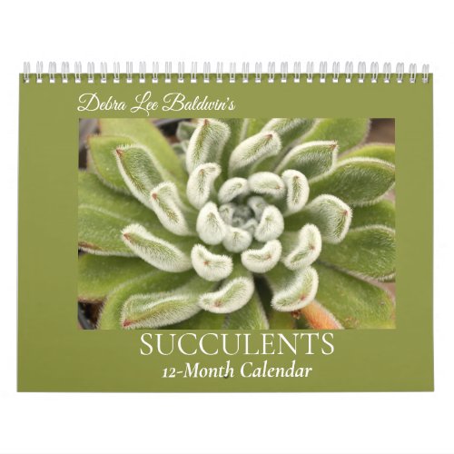 Succulents by Debra Lee Baldwin 4 Calendar