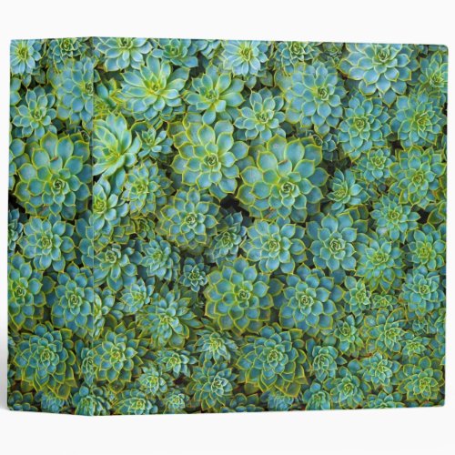 Succulents _ Echeveria plant Binder