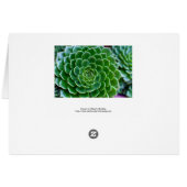 Succulents - Echeveria plant Cards (Back Horizontal)