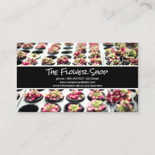 Succulents   Flowers   Nursery  Business Card