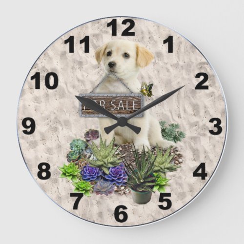 Succulents for sale large clock