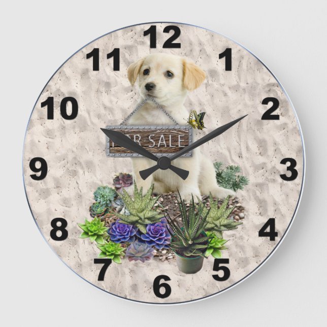 Succulents for sale large clock (Front)