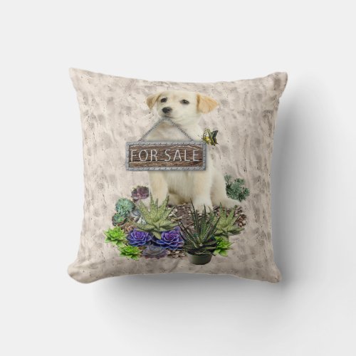 Succulents for sale throw pillow