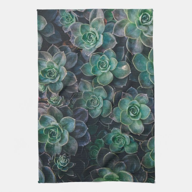 Succulents garden plants dish kitchen towel (Vertical)