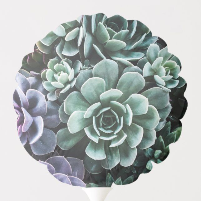 Succulents Green Plants Nature Balloon (Back)