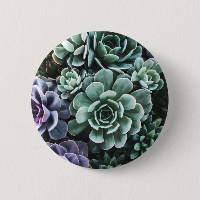 Succulents Green Plants Nature Button (Front)