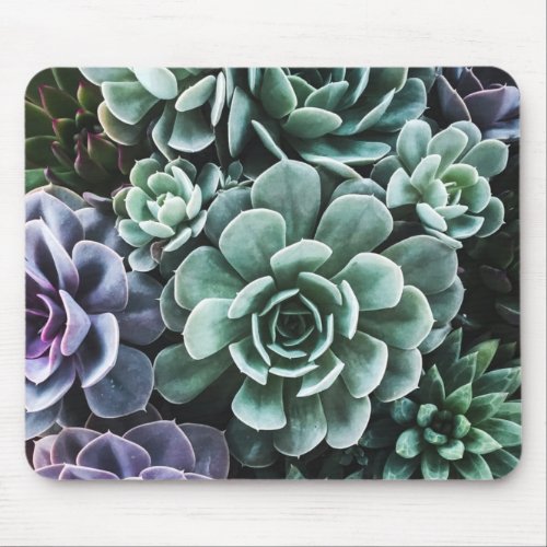 Succulents Green Plants Nature Mouse Pad