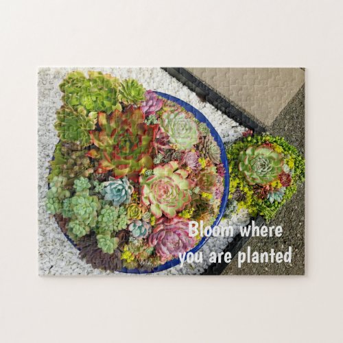 Succulents in Planter Jigsaw Puzzle