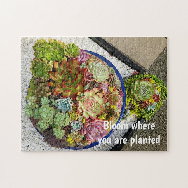 Succulents in Planter Jigsaw Puzzle (Horizontal)