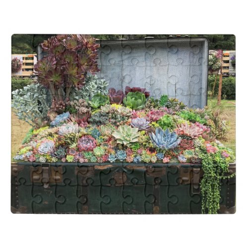 Succulents in Treasure Chest Jigsaw Puzzle