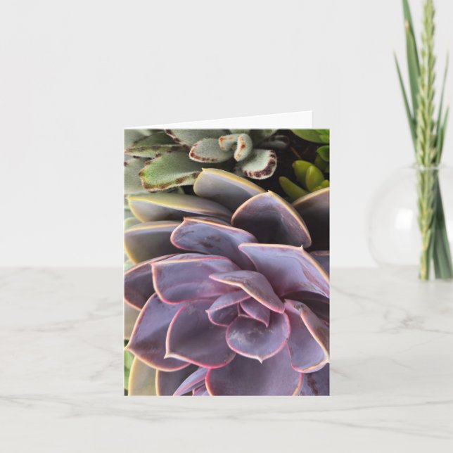Succulents Invitation (Front)