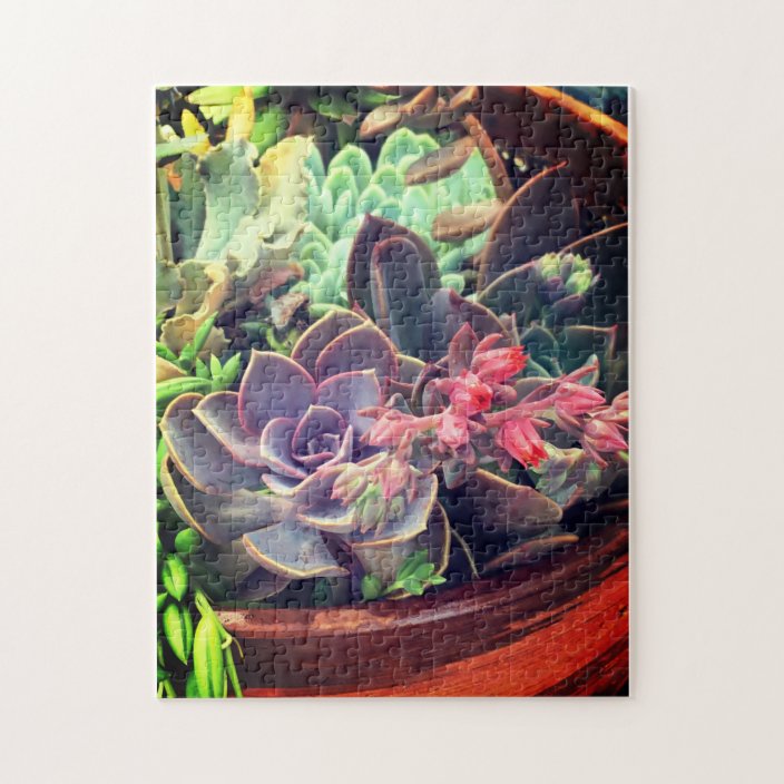 Succulents Jigsaw Puzzle Zazzle