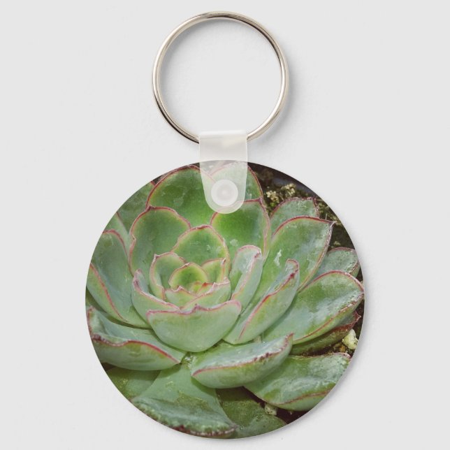 Succulents Keychain (Front)