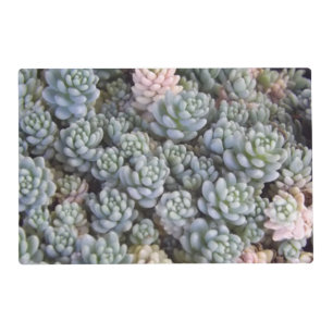 Succulents Laminated Placemat