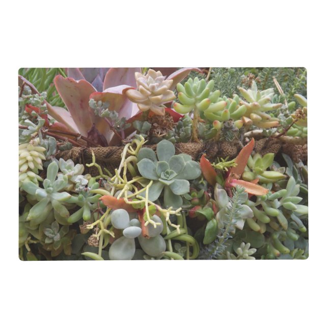 Succulents Laminated Placemat (Front)